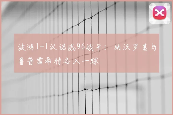 波鸿1-1汉诺威96战平：纳沃罗基与鲁普雷希特各入一球